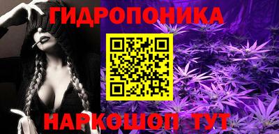 ПСИЛОЦИБИНОВЫЕ ГРИБЫ Новозыбков
