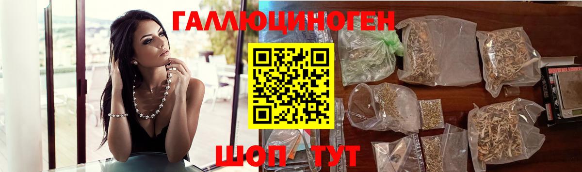 Усолье-Сибирское  Псилоцибиновые грибы MAGIC MUSHROOMS  сколько стоит  Вход с VPN 
